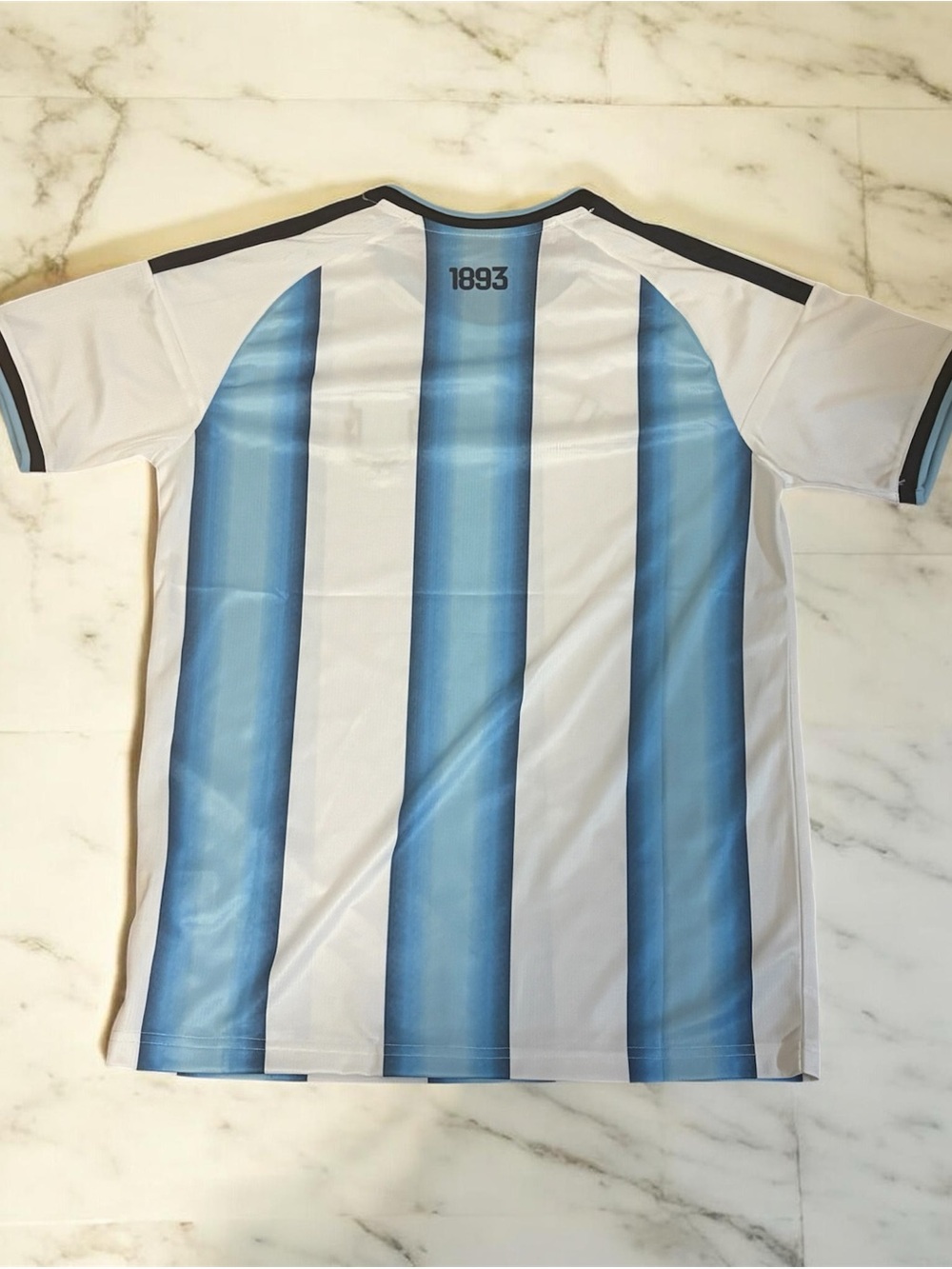 Argentina 2026 Home Soccer Jersey Adult Shirt S-L - Picture 2 of 2